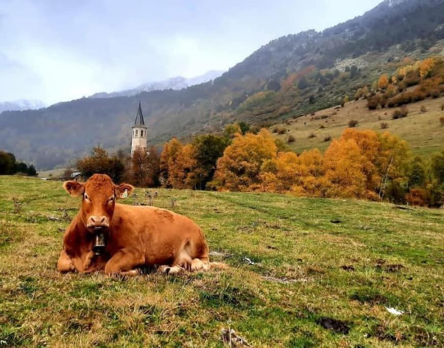 Mcastet, Casita Aranesa En El Valle De Aran Bossòst Zewnętrze zdjęcie